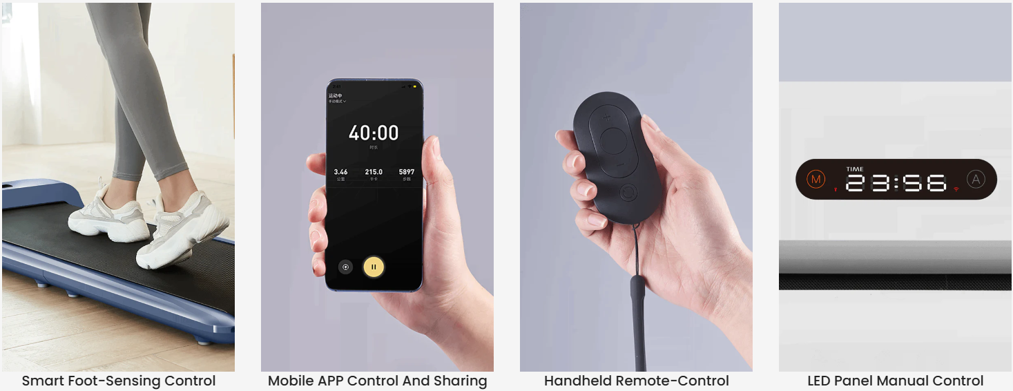 C2 Walkingpad King Smith